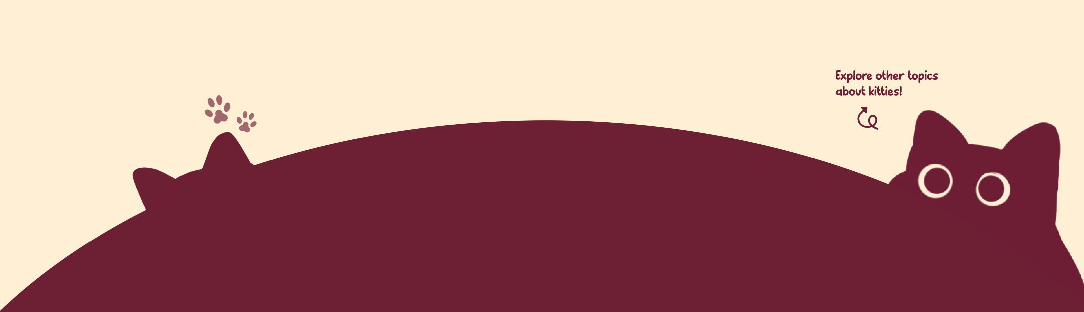 checkoutmoretopborder